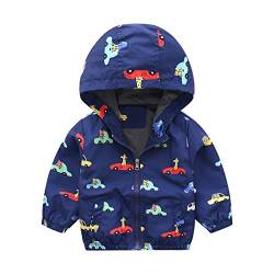 Windjacke für Kleinkinder Mädchen Jungen Frühling Und Herbst Mit Kapuze Baby-Reißverschluss Kapuze Winddicht Leichter Mantel von Hstyle