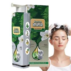 Blasenfärbendes Haar | 3-in-1-Pflanzenessenz-Bubble-Haarfärbemittel - Instant Plant Essence Bubble Haarfärbe-Shampoo für Männer und Frauen für Reisen, Outdoor Hudhowks von Hudhowks