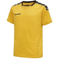 hummel Fußballtrikot Authentic Poly Trikot kurzarm von Hummel