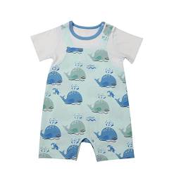 Husmeu Babykleidung Kleider Dinosaurier Erleben Sie den ultimativen Komfort und Stil mit unseren niedlichen und qualitativ hochwertigen Produkten 0-3 3-6 6-9 9-12m blau von Husmeu