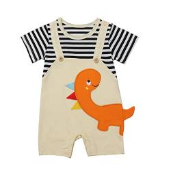 Husmeu Babykleidung Kleider Dinosaurier Erleben Sie den ultimativen Komfort und Stil mit unseren niedlichen und qualitativ hochwertigen Produkten 0-3 3-6 6-9 9-12m orange von Husmeu