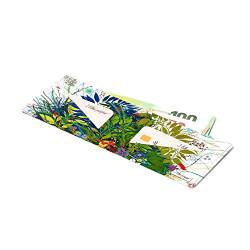 I LIKE PAPER – WILD Flowers – Pappwallet/Portemonnaie/Geldbörse aus Tyvek® - ohne Reißverschluss - mit Geldscheinfach und 2 Kreditkartenfächern - reissfest - wasserabweisend - Made in Germany von I LIKE PAPER
