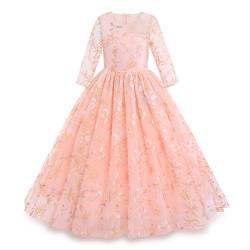 Mädchen Festzug Ballkleider Kinder Bestickt Brautkleid Elegant Brautjungfer Kleider für 3/4 Arm Tüllkleid Prinzessin Erste Kommunionskleider Karneval Abendkleid Partykleid Blumen-Rosa 3-4 Jahre von IBTOM CASTLE