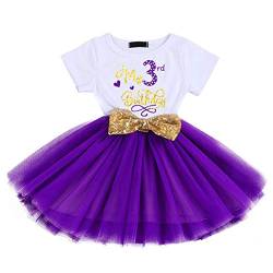 Neugeborene Baby 1./2 ./3. Geburtstag Mädchen Kleid Kurzarm Baumwolle Body Tütü Tüll Prinzessin Partykleid Cake Smash Babykleidung Set Fotoshooting Geburtstagskleid Lila 1（3 Jahre） 3 Jahre von IBTOM CASTLE