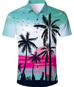 IDGREATIM Männer Herren Hemd Freizeit Hawaiihemd 3D Pattern Printed Hemden Shirts Kurzarm Button Down T Hemden Shirt von IDGREATIM