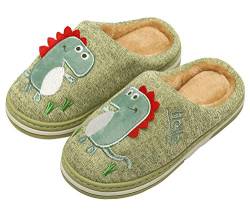 INMINPIN Kinder Winter Baumwolle Pantoffeln Wärme Weiche Plüsch Hausschuhe Kuschelige Slipper mit Cartoon Dinosaurier für Mädchen Jungen,Grün,29/30 EU = Etikettengröße 30/31 von INMINPIN