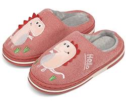 INMINPIN Kinder Winter Baumwolle Pantoffeln Wärme Weiche Plüsch Hausschuhe Kuschelige Slipper mit Cartoon Dinosaurier für Mädchen Jungen,Rosa Grau,29/30 EU = Etikettengröße 30/31 von INMINPIN