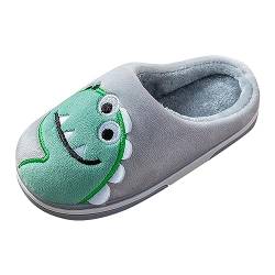 IQYU Hausschuhe Junge Bagger tragen Hausschuhe, süße Dinosaurier, weicher Boden, bequeme Winter-warme Plüsch-Hausschuhe Kinderpantoffel Jungen 35 (Grey, 30.5 Little Child) von IQYU