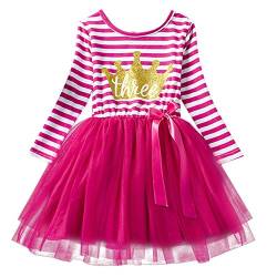 Neugeborene Säuglings Kleinkind Baby Mädchen Ist es Mein 1. / 2. / 3. Geburtstags Gestreiften Tüll Tütü Prinzessin Kleid mit Bowknot Partykleid Fotoshooting Outfits Kostüm Rose von IWEMEK