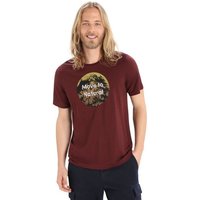 Icebreaker Kurzarmshirt Men Tech Lite II SS Tee Natural Alp von Icebreaker