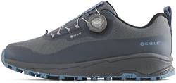 Icebug W Haze Rb9 GTX Grau - Gore-Tex Wasserdichter komfortabler Damen Gore-Tex Laufschuh, Größe EU 41 - Farbe Ash - von Icebug