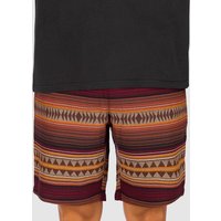 Iriedaily Vintachi Shorts terra von Iriedaily