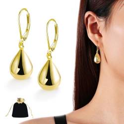 Irikdescia 1 Paar Ohrringe, Ohrringe im Anhänger-Stil, mit Schmuckbeutel, Elegante Tropfen-Ohrringe für Damen, Hypoallergener Baumelnder Schmuck, Nachdenklich Geschenk(Gold) von Irikdescia