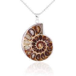 Ixkbiced Natürliche Ammonit Fossilien Anhänger Schmuck Silberfarben Ammonit Fossilien Stein eingewickelt Anhänger Halskette Modeschmuck von Ixkbiced