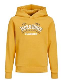 JACK & JONES Boy Hoodie Jungen von JACK & JONES