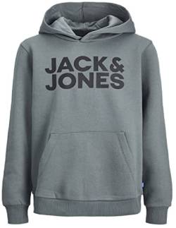 JACK & JONES Jungen Jjecorp Logo Sweat Hood Noos Jr Kapuzenpullover, Grau (Sedona Sage), 176 von JACK & JONES