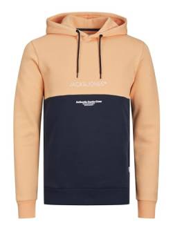 JACK & JONES Male Hoodie Colorblock von JACK & JONES