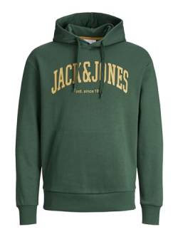 JACK & JONES Male Hoodie von JACK & JONES