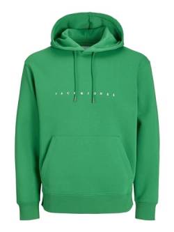 JACK & JONES Male Hoodie von JACK & JONES