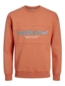 Jack & Jones JORLAKEWOOD Sweat Crew Neck BF JNR von JACK & JONES