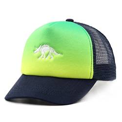 JANGANNSA Kinder Baseball Cap Dinosaurier Mütze Sommer Mesh Hut UV kindermütze für Junge Mädchen 2-8 Jahre von JANGANNSA