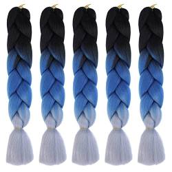 Braid Extensions Flechten Haare, 5 Packs Jumbo Flechten Hair Extensions Colorful Kunsthaar, Kunsthaar zum Crochet Twist Flechten Haar, 60cm/24inch von JAWSEU