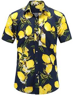 JEETOO Herren Ananas Shirts Hawaiian Style Hemd Drucken Urlaub Button Down Kurzarm Slim Fit Freizeit Hemd Sommer Casual in den Größen S-3XL(Navy_2,2XL) von JEETOO