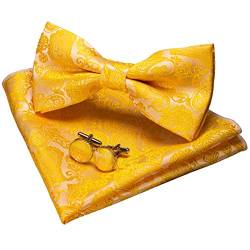 JEMYGINS Gelb Paisley Fliege und Einstecktuch mit Manschettenknöpfe Sets für Herren (Gelb) von JEMYGINS