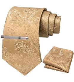 JEMYGINS Herren Paisley Krawatten set mit Krawattenklammer und Einstecktuch,Creme farben von JEMYGINS