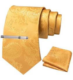 JEMYGINS Herren Paisley Krawatten set mit Krawattenklammer und Einstecktuch,Römischer Feiertags-Mojito mit gelber Mango von JEMYGINS