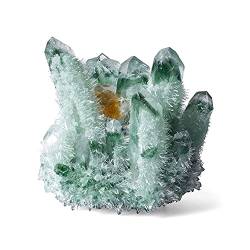 JFLDVUMJUM Natürliche grüne Kristallquarz-Cluster-Dekoration, Edelstein-Probe, Raumdekoration ZAOQINIYIN (Material : 300g) von JFLDVUMJUM