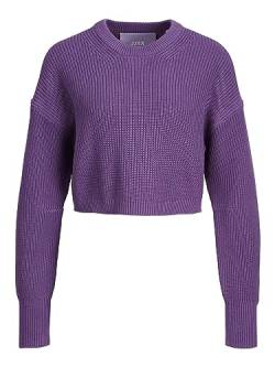 JJXX Women's JXCARLOTA LS Twist Cropped CN Knit Pullover, Royal Lilac, M von JJXX