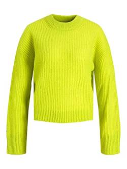 JJXX Women's JXEMBER LS Fluffy Crew Neck Knit NOOS Pullover, Lime Punch, XS von JJXX