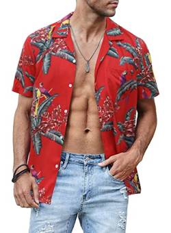 JMIERR Hawaii Hemd Männer Casual Hemd Kurzarm Button Down Urlaubhemden Hawaii-Print Diverse Rot Palme S von JMIERR