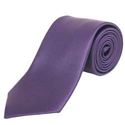 JNJSTELLA Men's Solid 3.15" Tie Necktie Plum Purple von JNJSTELLA