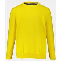 JP1880 Rundhalspullover Pullover runder Ausschnitt JP1880-Stick Baumwolle von JP1880