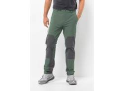 Trekkinghose JACK WOLFSKIN "ANDUR PANTS M" Gr. 46, Normalgrößen, grün (hedge, green) Herren Hosen Trekkinghosen von Jack Wolfskin