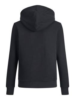 JJELOGO SWEAT HOOD 2 COL 22/23 NOOS von Jack & Jones