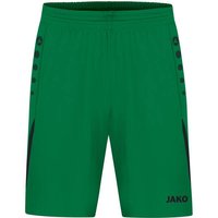 JAKO Damen Shorts Challenge von Jako