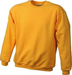 James & Nicholson Herren Round-Sweat-Heavy Sweatshirt, Gelb (Gold-Yellow), X-Large von James & Nicholson