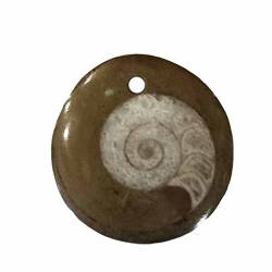 Janni-Shop Ammonit in Matrix Anhänger rund flach ca. 30-40 mm mit Bohrung ca. 2 mm mit schwarzem Textilband von Janni-Shop