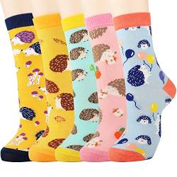 Jeasona Socken Frauen Baumwolle Socken Tier Cute Funny Multipack Geschenke für Frauen Gr. One size, Bunter Igel von Jeasona