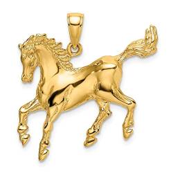 Halskette mit Anhänger Pferd mit Schwanz nach oben, 29 mm, 14 Karat Gold, hochglanzpoliert, 2D-Charm-Anhänger, Schmuck, Geschenke für Frauen von JewelryWeb