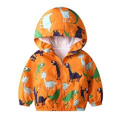 JinBei Baby Jungen Jacke Kinder Dinosaurier Jacken Kapuzen Sweatjacke Kapuzenjacke Cartoon Winddicht Gelb Junge Mantel Windjacke Übergangsjack Frühling Herbst Outwear Softshell 2-3 Jahre von JinBei