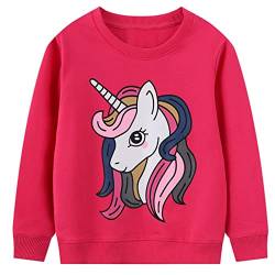 JinBei Baby Mädchen Sweatshirt für Kinder Pullover Baumwolle Top Casual Jumper Kleinkind Einhorn Pferd Druck Rose Rot Langarmshirt Sweater, Herbst Winter Frühling Schule Täglich 2-3 Jahre alt von JinBei