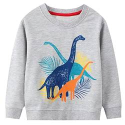 JinBei Jungen Sweatshirt Dinosaurier Grau Pullover Sport Kinder Baumwolle Jumper Langarm Sweater Pull Casual Kleinkind Langarmshirts Streetwear Schule Tops Alter 6-7 Jahre von JinBei