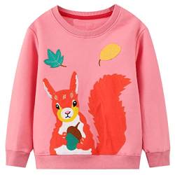 JinBei Mädchen Pullover Sweatshirt für Kinder Baumwolle Top Casual Jumper Kleinkind Eichhörnchen Rosa Blatt Langarmshirt Sweater, Herbst Winter Frühling Schule Täglich 5-6 Jahre alt von JinBei