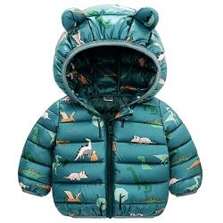 JinBei Mantel für Kinder, Jungen Winterjacke mit Kapuze Warme Dinosaurier Grün Kapuzenjacke, Ultraleicht Gepolstert Herbst Steppjacke Oberbekleidung Wintemantel Alter 3-4 Jahre von JinBei