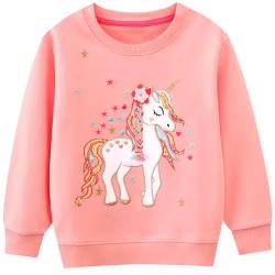 JinBei Sweatshirt für Mädchen, Kinder Pullover Baumwolle Top Casual Jumper Langarmshirt Sweater, Herbst Winter Frühling Schule Täglich 3-4 Jahre, Gr.98-104, Rosa Einhorn von JinBei