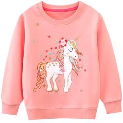 JinBei Sweatshirt für Mädchen Kinder Pullover Baumwolle Top Casual Jumper Rosa Regenbogen-Einhorn Pferd Druck Langarmshirt Alter 5-6 Jahre, Gr.110-116 von JinBei